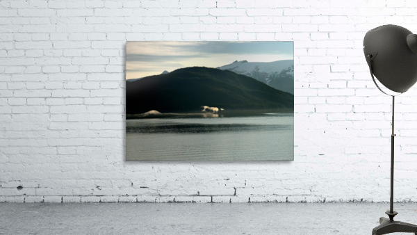 Alaska Wall Preview