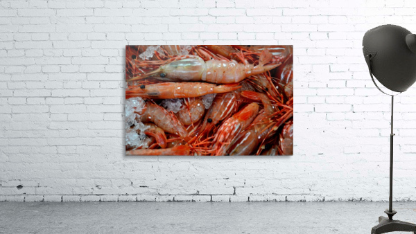Shrimp  Wall Preview