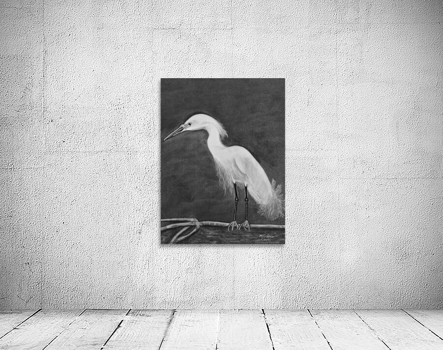 Snowy Egret Wall Preview