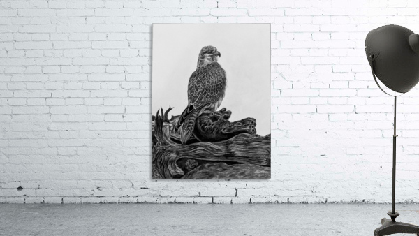 Gyrfalcon Wall Preview