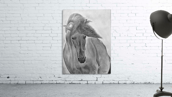 Wild Horse  Wall Preview