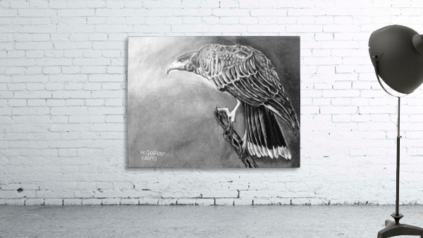 Harris’s Hawk  Wall Preview