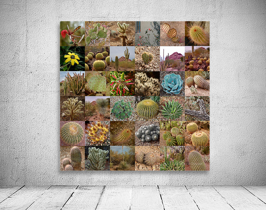 Cactus 36  Wall Preview