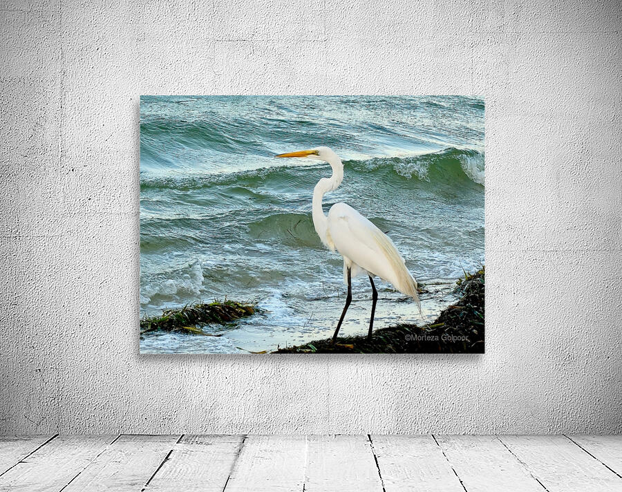 Bird 7 Wall Preview