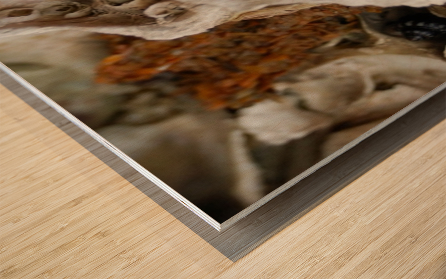 Abs 04_00003 Wood print