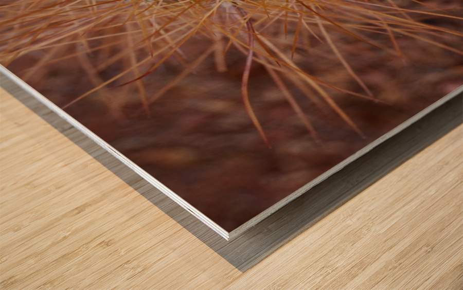 Abs 08_00007 Wood print