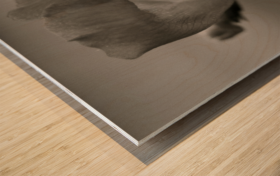 BW 06_00007 Wood print