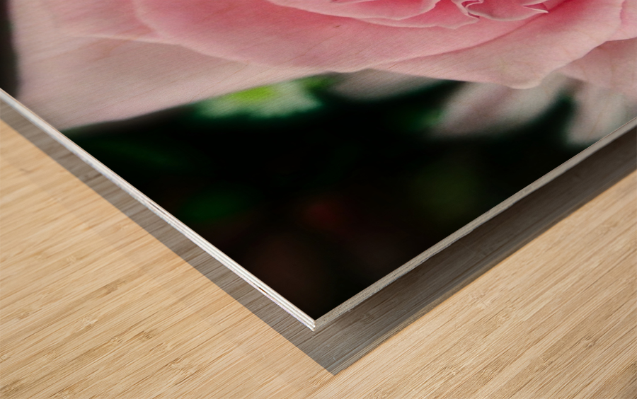 Rose03_00003 Wood print