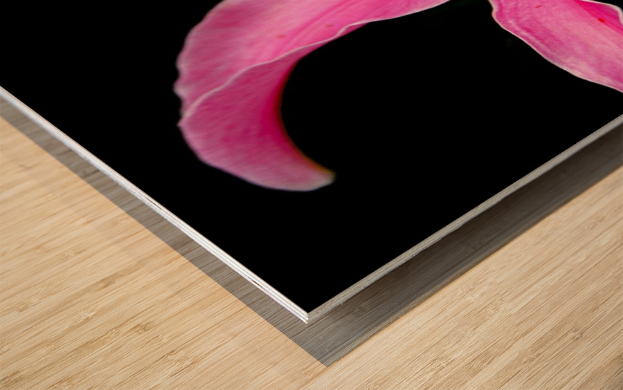 Flower Mix 10 Wood print