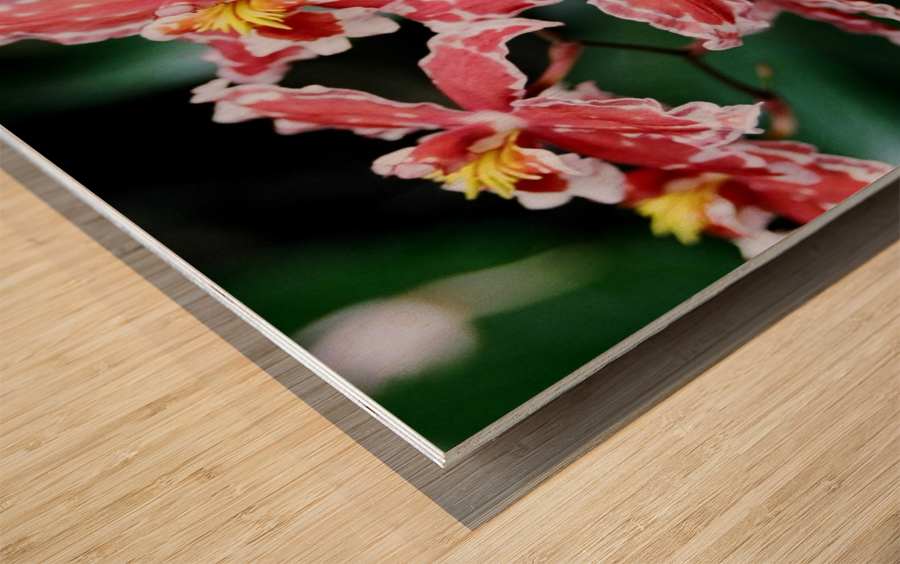 Flower Mix 02 Wood print