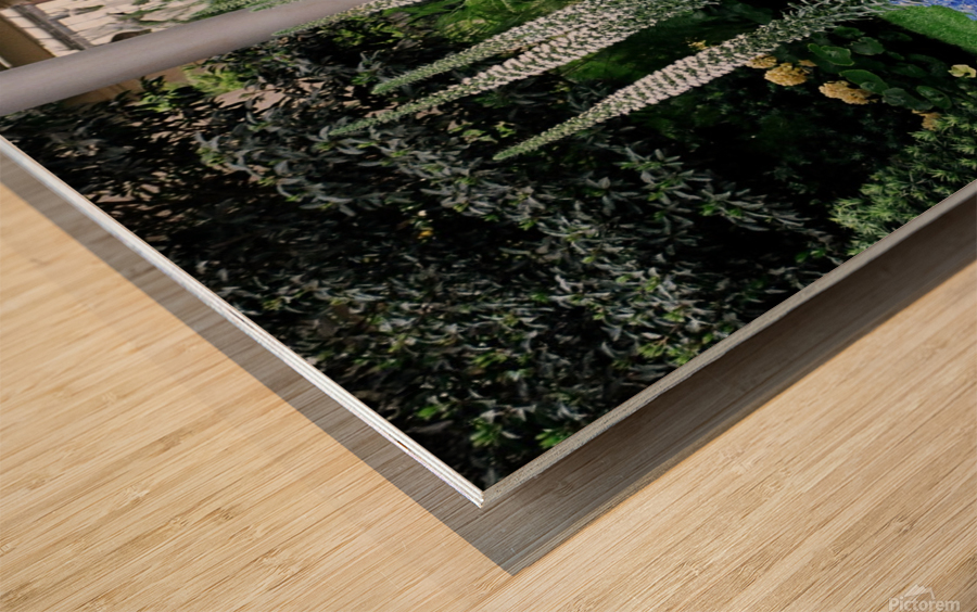 Flower Display 01 Wood print