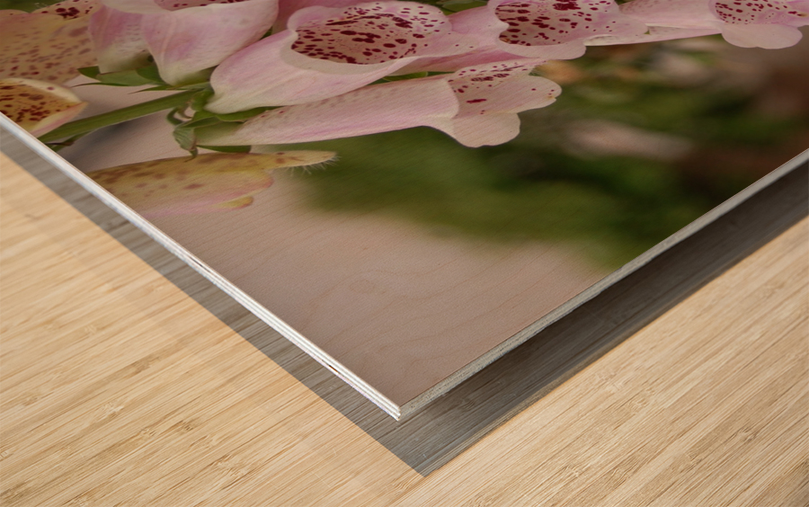 Flower Mix 13 Wood print