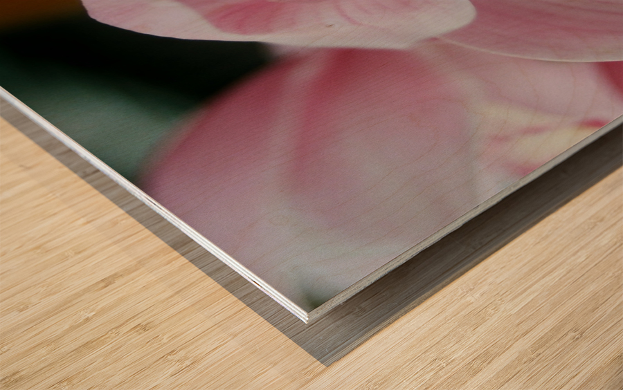Orchid_00013 Wood print