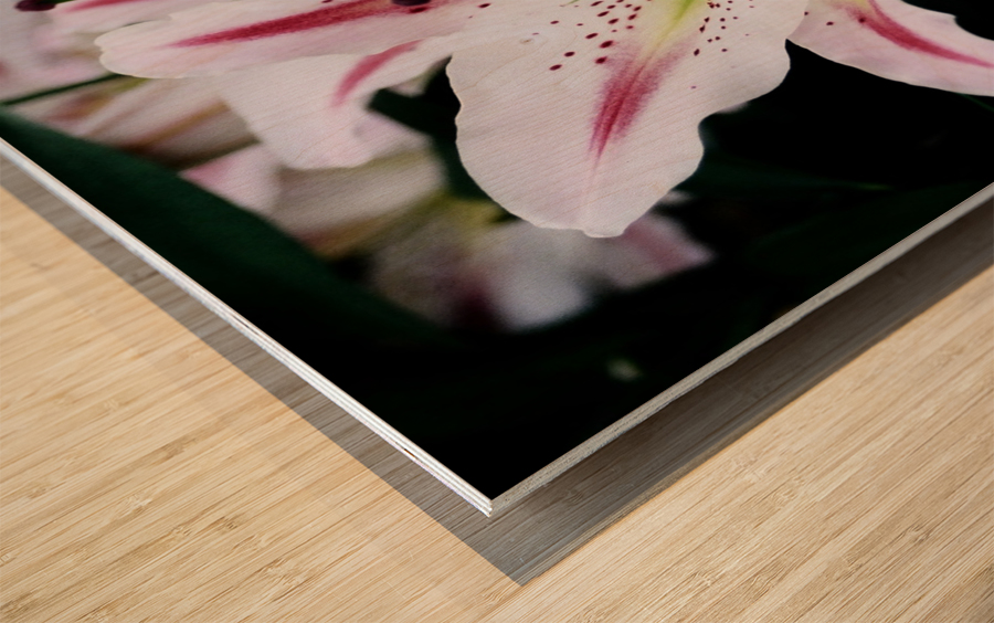 Flower Mix 03 Wood print