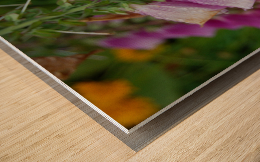 Flower Mix 14 Wood print