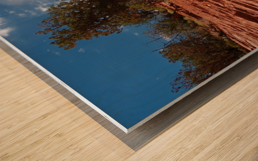 Sedona -9 Wood print