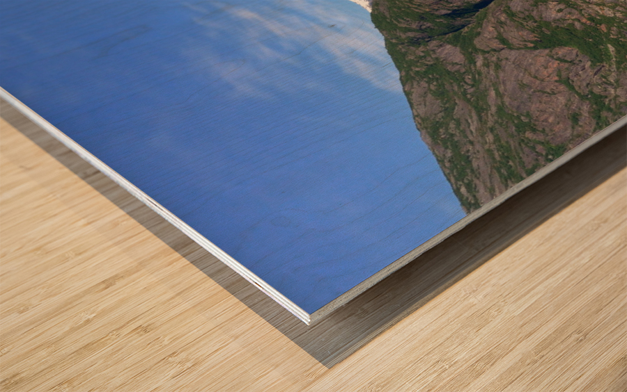 Alaska Wood print