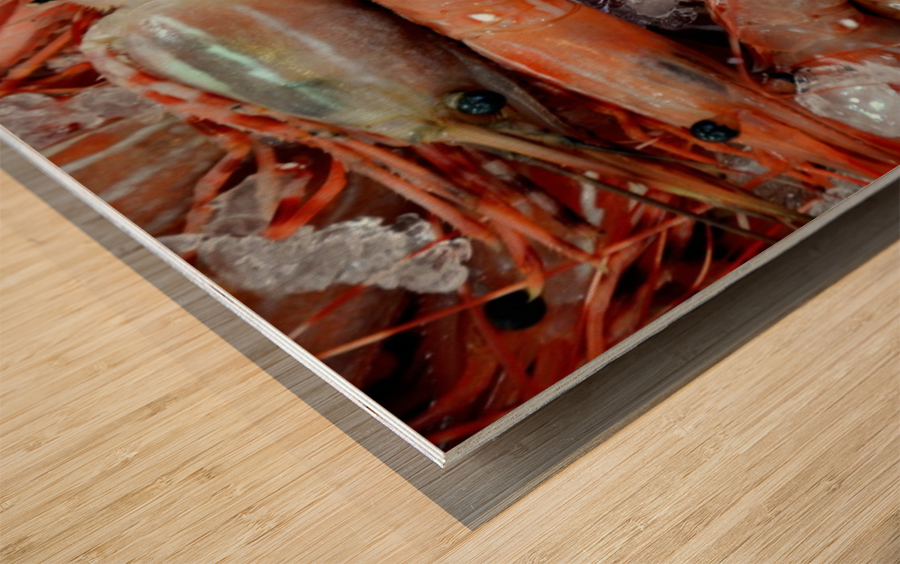 Shrimp  Wood print