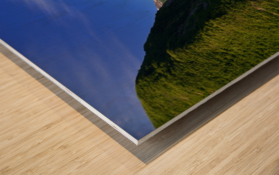 Alaska Wood print