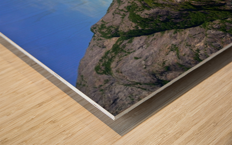 Alaska Wood print