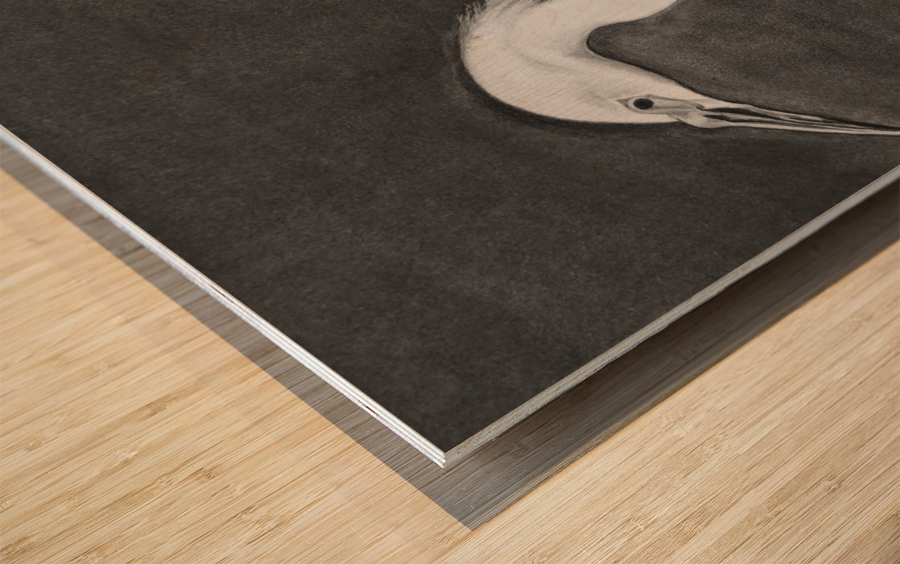 Snowy Egret Wood print