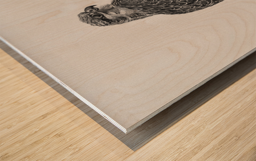Gyrfalcon Wood print
