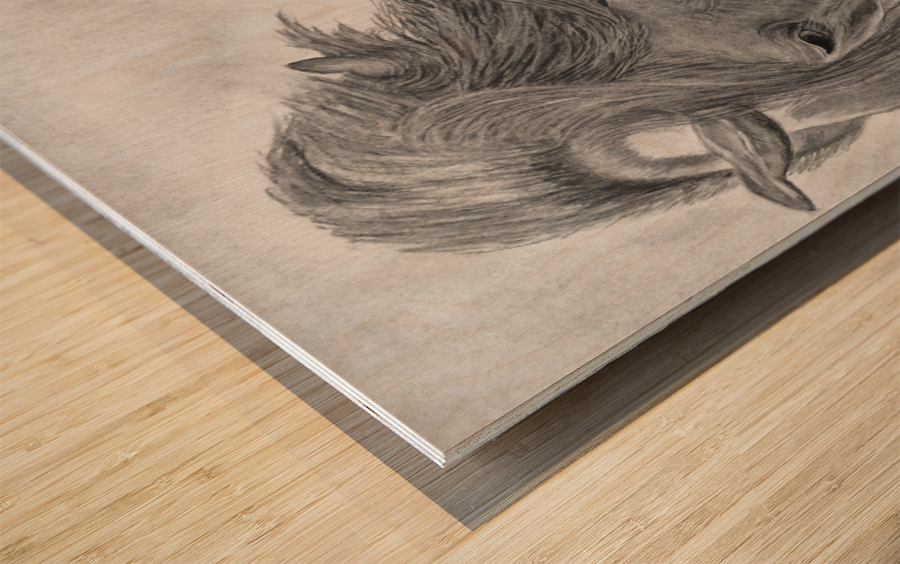 Wild Horse  Wood print