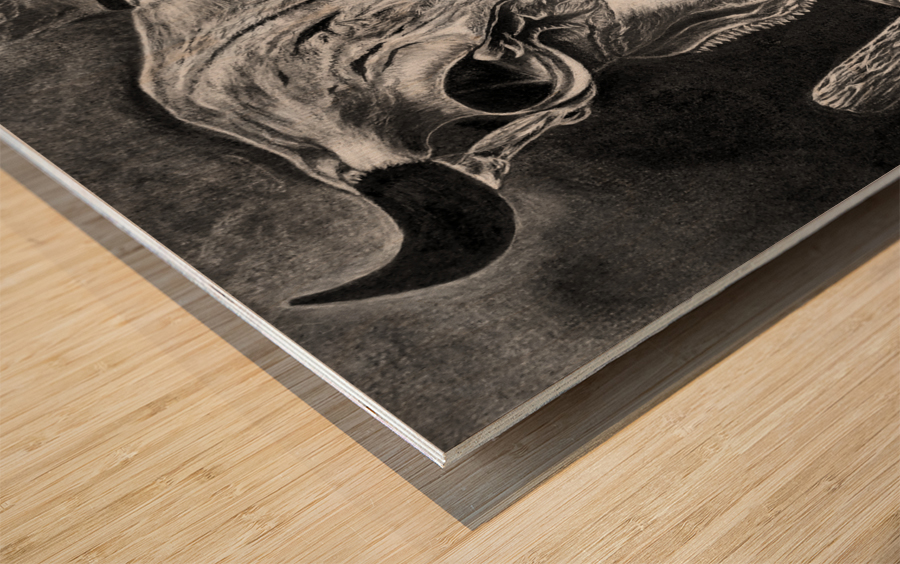 Longhorn  Wood print