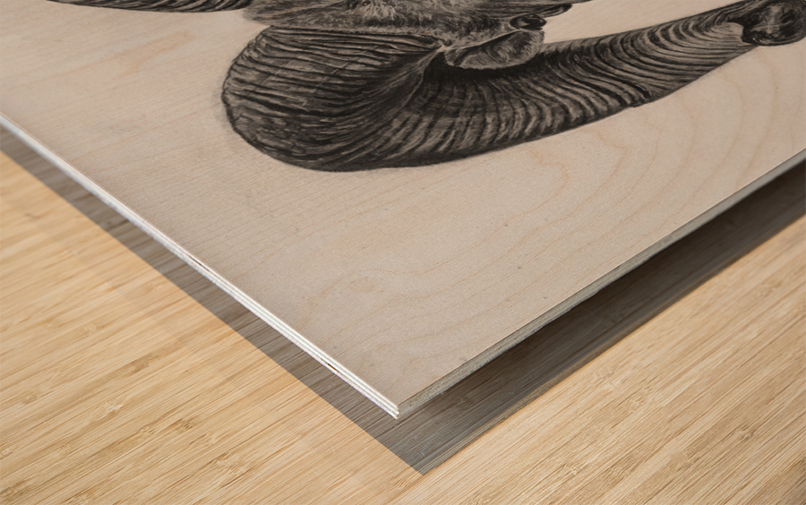 Hornes  Wood print