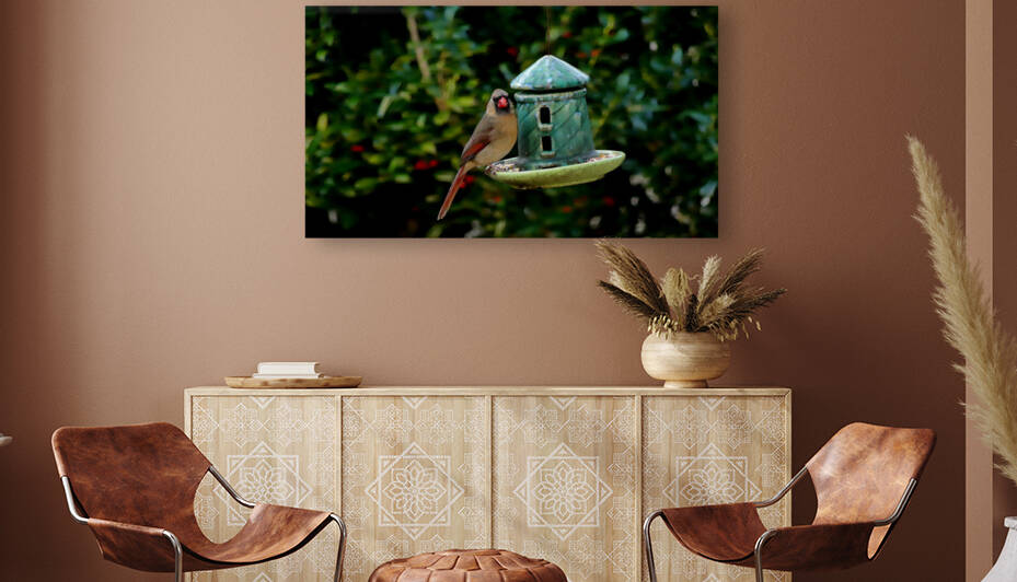 Bird on Feeder Profile Photography Art by Tim A Rowland