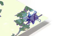 purple green flowers pattern HD Metal print
