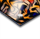 Fishy Fish Acrylic print