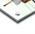 Hui Clos Acrylic print