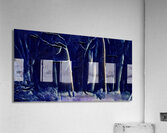 Midnight Snowfall Acrylic Print