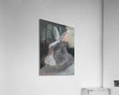 Sleepy Bunny Acrylic Print