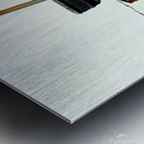 Hui Clos Metal print