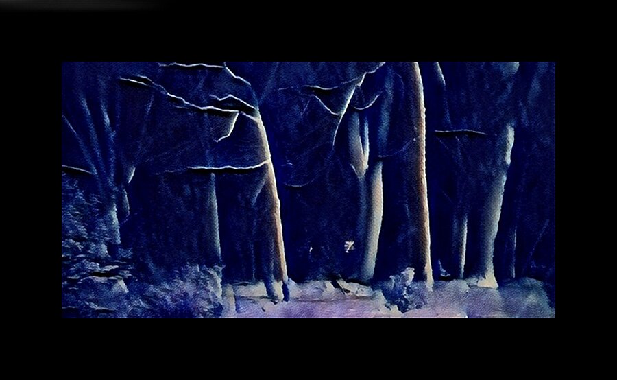 Midnight Snowfall Picture Frame print