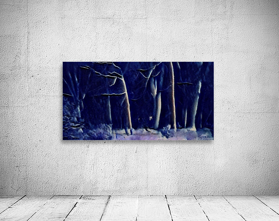 Midnight Snowfall Wall Preview