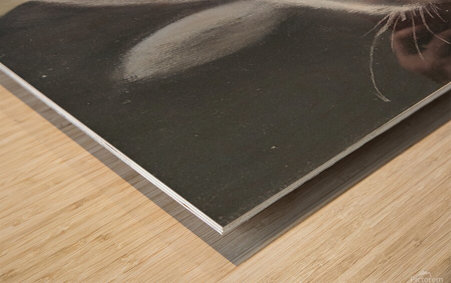 Sleepy Bunny Wood print