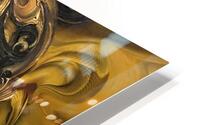 Instant Meditation HD Metal print