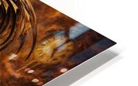 The Keeper of Luminous Secrets HD Metal print