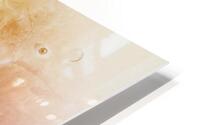 Reflecting Aphrodite HD Metal print