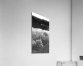 Upside Down Acrylic Print