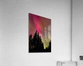 Aurora 3 Acrylic Print