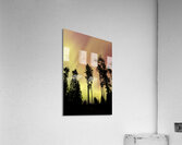 Aurora 4 Acrylic Print