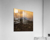 Ethereal Bush Acrylic Print