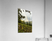 MONTANA Acrylic Print