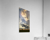 SHEESH Acrylic Print