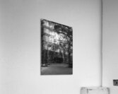 Garden Bench Acrylic Print