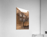 Adobe Tree Acrylic Print